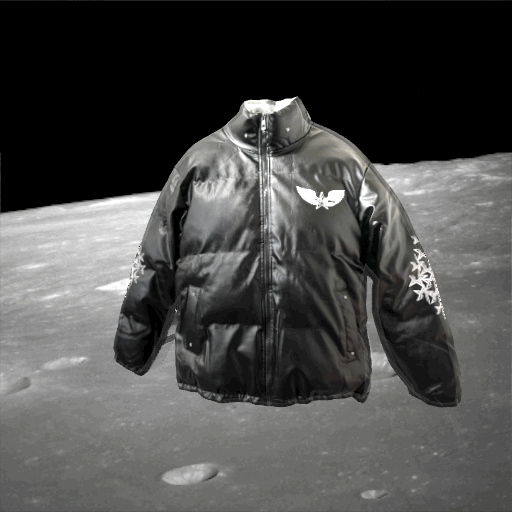 BS Reflective Leather Puffer